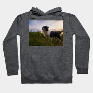 evening walk Hoodie